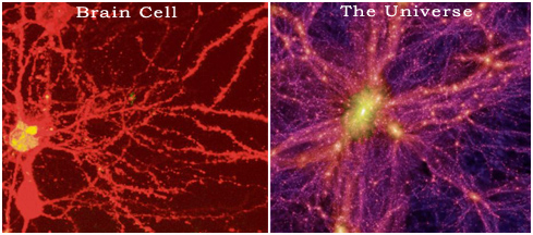 The universe and a brain cell look the same