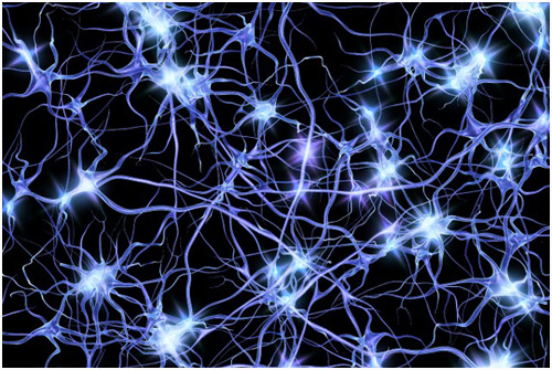 Brain synapses