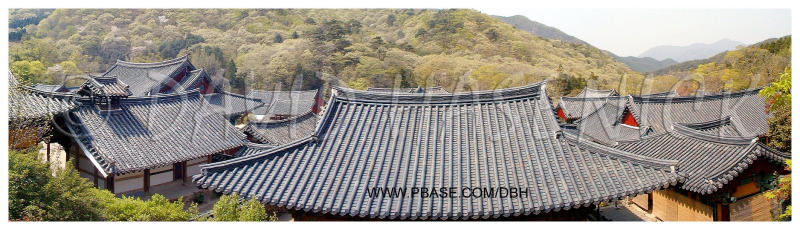 Temple Roof Lines of Songgwangsa Buddhist Temple
