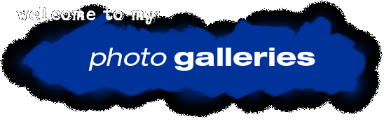 Welcome to my Galleries
