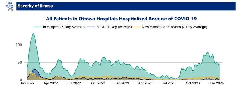 [Chart. All patients in Ottawa Hospitals Hospitalized Because of CV19. January 17, 2024. A chart running from January 2022 to January 2024 showing Ottawa currently coming off a high plateau of hospitalizations at the end of 2023, higher than in 2022.]