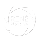 Rene De Pins