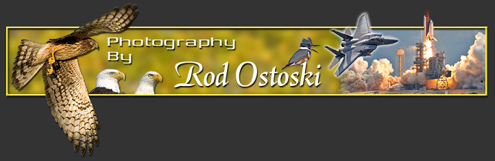 Serving Brevard County | Photographer Rod Ostoski